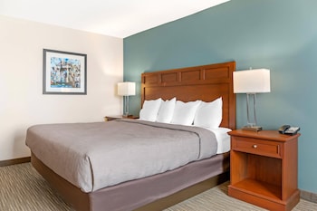 Room, 1 King Bed, Accessible, Non Smoking (Roll-In Shower)