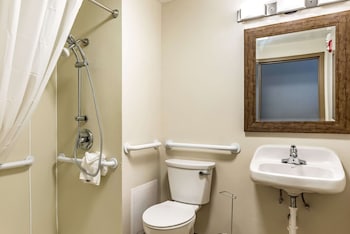 Room, 1 King Bed, Accessible, Non Smoking (Roll-In Shower)