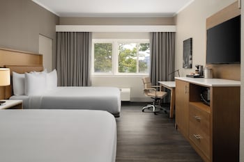 Room, 2 Queen Beds, Accessible (Roll-In Shower)