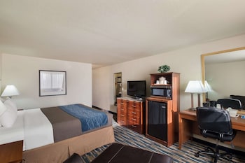 Room, 1 King Bed, Non Smoking