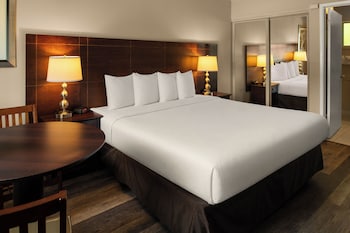 Standard Room, 1 King Bed, Accessible