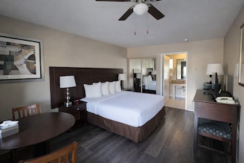 Standard Room, 1 King Bed, Accessible