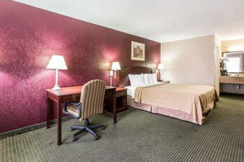 Room, 1 King Bed, Non Smoking, Lake View