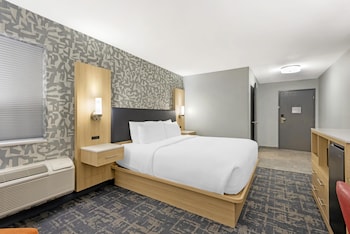 Standard Room, 1 King Bed, Non Smoking (Walk-in Shower;Pets Not Allowed)