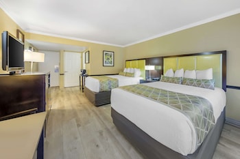 Standard Room, 2 Queen Beds, Non Smoking, Refrigerator & Microwave