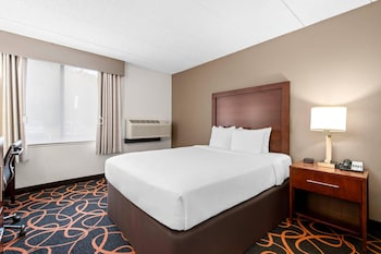 Room, 1 Queen Bed