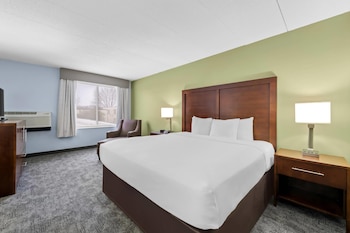 Standard Room, 1 King Bed, Non Smoking