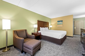 Standard Room, 1 King Bed, Non Smoking