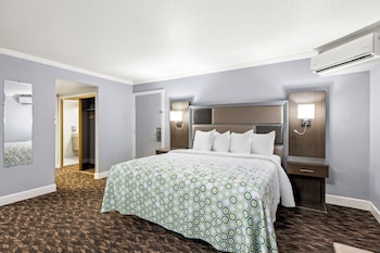 Suite, 1 King Bed, Non Smoking, Poolside
