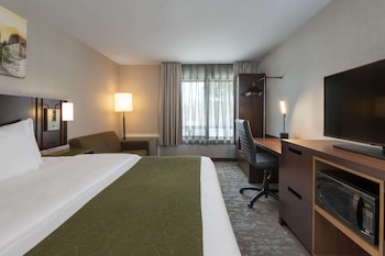 Standard Room, Non Smoking (1 King Bed with 1 person sofa bed)