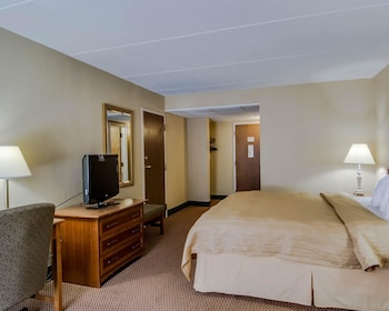 Standard Room, 1 King Bed, Non Smoking