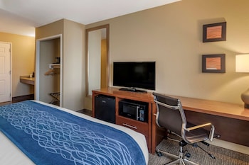 Room, 1 King Bed, Accessible, Non Smoking
