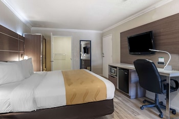 Standard Room, 1 King Bed, Accessible, Non Smoking