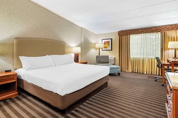 Standard Room, 1 King Bed, Non Smoking, Refrigerator & Microwave (Larger Room)