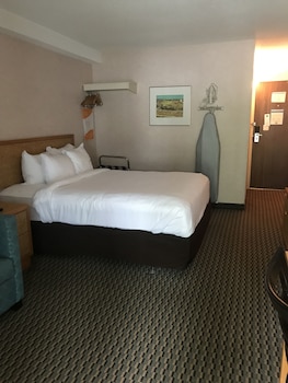 Standard Room, 1 Queen Bed, Non Smoking