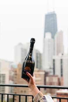 Signature Suite, Terrace, City View