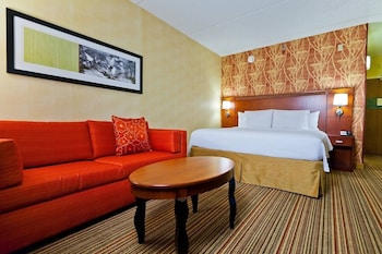Room, 1 King Bed with Sofa bed