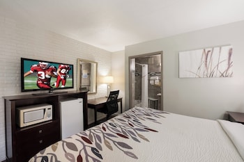 Deluxe Room, 1 King Bed, Non Smoking