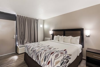 Deluxe Room, 1 King Bed, Non Smoking