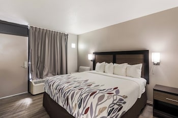 Deluxe Room, 1 King Bed, Non Smoking