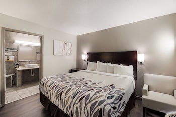Deluxe Room, 1 King Bed, Accessible, Non Smoking