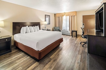 Standard Room, 1 King Bed, Non Smoking, Refrigerator & Microwave (Pet Friendly)