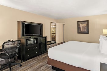 Standard Room, 1 King Bed, Non Smoking, Refrigerator & Microwave (Pet Friendly)