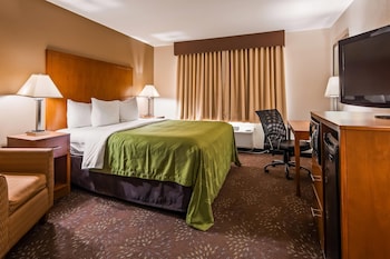 Standard Room, 1 King Bed, Non Smoking