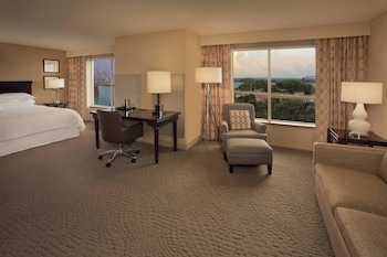 Room, 1 King Bed with Sofa bed (Mobility Accessible, Roll-In Shower)