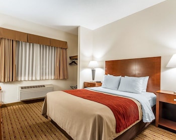 Room, 1 Queen Bed