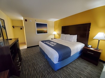 Room, 1 King Bed, Accessible, Non Smoking (Roll-In Shower)