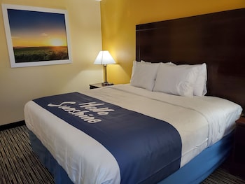 Room, 1 King Bed, Accessible, Non Smoking (Roll-In Shower)