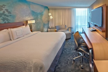 Room, 1 King Bed