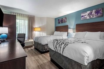 Standard Room, 2 Double Beds, Non Smoking