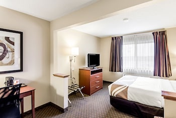 Suite 1 Queen NSmk Sofabed No Pets