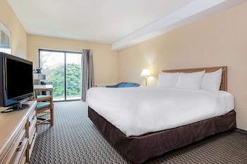 Room, 1 King Bed, Non Smoking