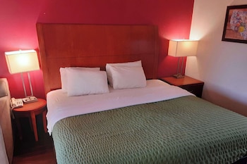 Room, 1 King Bed, Accessible, Non Smoking