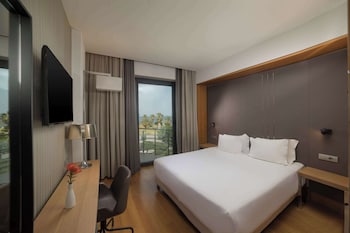 Standard Room (View)