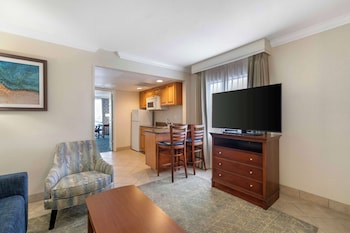 Family Suite, 1 King Bed, Non Smoking, Kitchenette (with Sofabed)