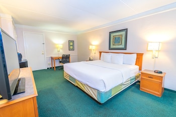 Room, 1 King Bed, Accessible, Non Smoking (Tub with Grab Bars)