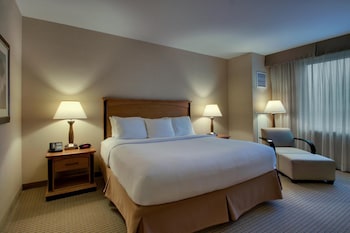 Deluxe Room, 1 King Bed, Non Smoking, City View