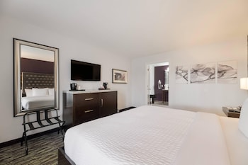 Room, 1 King Bed, Accessible, Non Smoking (Roll In Shower)