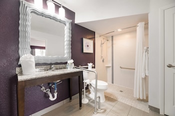 Room, 1 King Bed, Accessible, Non Smoking (Roll In Shower)