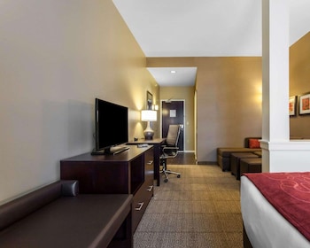 Suite, 1 King Bed with Sofa bed, Non Smoking (Shower Only)