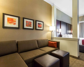 Suite, 1 King Bed with Sofa bed, Non Smoking (Shower Only)