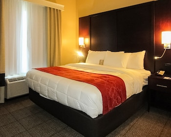 Suite, 1 King Bed with Sofa bed, Accessible, Non Smoking