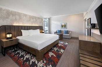 Standard Room One King