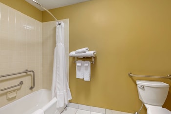 Standard Room, 1 King Bed, Accessible, Bathtub