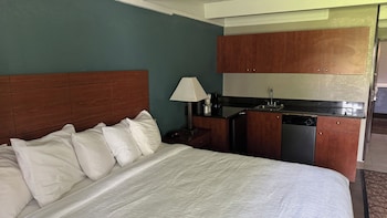 Room, 1 King Bed, Non Smoking, Kitchenette