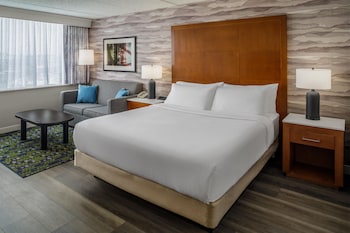 Room, 1 King Bed with Sofa bed
